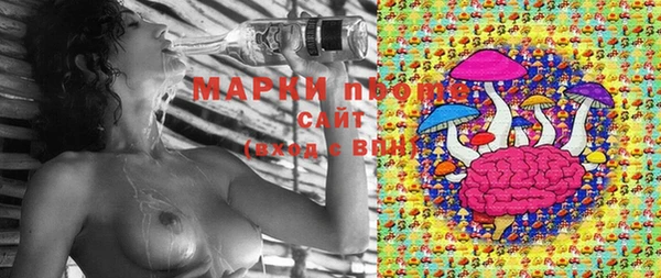 2c-b Верея