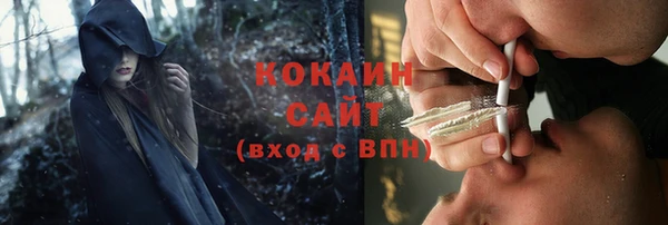 дурь Бронницы