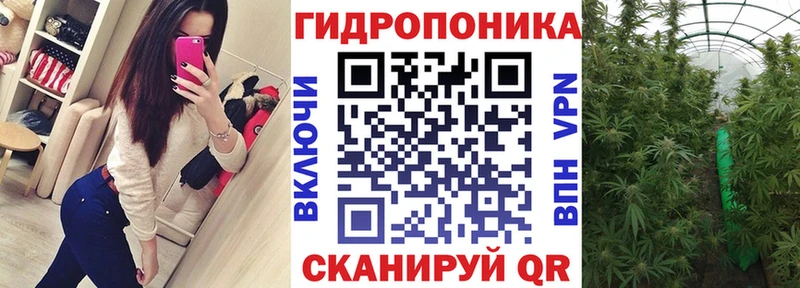 Бошки марихуана OG Kush  блэк спрут   Мостовской 